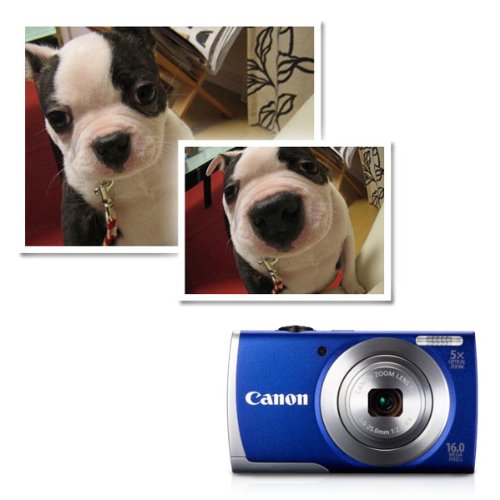 Buy Canon PowerShot A2600 is 16MP Point-and-Shoot Digital Camera