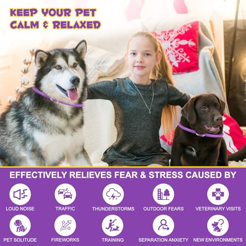 Halsbands Hund 3Pcs, Einstellbares Design Pheromon Halsband Hund für Angst, Adaptil Calm Halsband No Stress Formula, beruhigungshalsband für hunde, Hunds Pheromone Halsbands Klinisch bewährt,18.9 Zoll