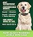 Pawious GPS Dog Fence XSentry - Radius from min 33 to max 1000 Yards, No False Triggers, IPX7 Waterproof, Containment System for Medium and Large Dogs