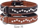 CollarDirect Hundehalsband mit Nieten, Leder, für kleine und mittelgroße Welpen, weich gepolstert, Braun/Schwarz (Braun, 28-33 cm)