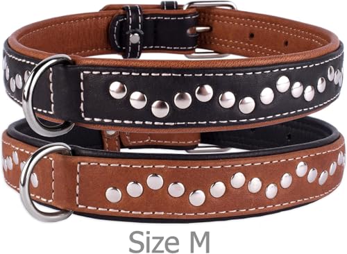 CollarDirect Hundehalsband mit Nieten, Leder, für kleine und mittelgroße Welpen, weich gepolstert, Braun/Schwarz (Braun, 28-33 cm)