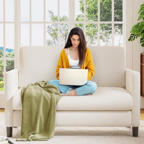 Welzona Loveseat Sofa, 51" Love Seat, Comfy Teddy Small Loveseat