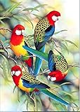Abillyn Kit de broderie au point de croix Motif perroquet coloré sur branche