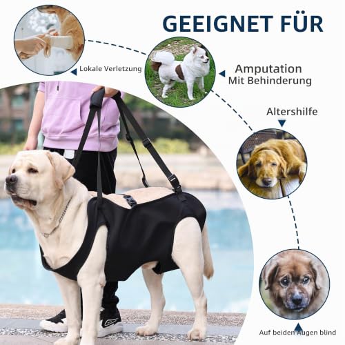 Duuclume Hundegeschirr zum Heben, Notfall-Rucksack, Haustierbeinstützung und Rehabilitation, verstellbare Hebegurte, Hundetrage für ältere ältere Hunde, Gelenkverletzungen, Arthritis, M