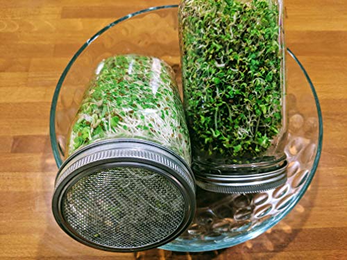 Sprouting Lids-2 Pack 316 Stainless Steel 100% Rust Free for Wide Mouth Mason Jars Lid Kit, Sprout Fresh Organic Broccoli Seeds, Mung Beans, Alfalfa Seed, Lentils, Radish and More (Seeds not included) - Thumbnail 6
