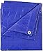 Kotap 10 x 10 Ft. All-Purpose Multi-Use Protection/Coverage 5-mil Poly Tarp, Waterproof, Blue, 1-Pack (TRA-1010)