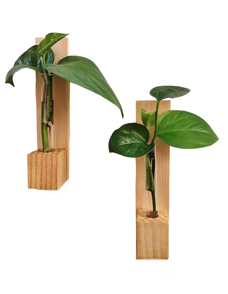 HS ART Wooden Hanging Flower Vase Propagation Home Decor Double Tape Plant Holder Easy to Apply for Decor Your Home.(2) (B0D7KDMLLR) Amazon Price History, Amazon Price Tracker