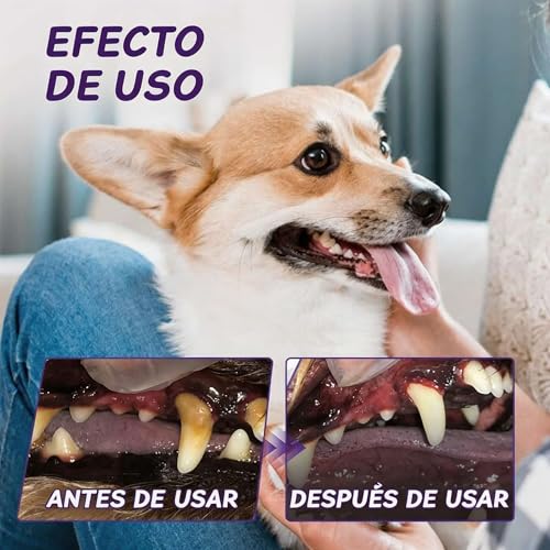 Opiniones de Ralph Fresh . 21 Imagen adicional