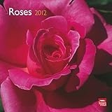  Roses 2012 (Wall-Kalender)