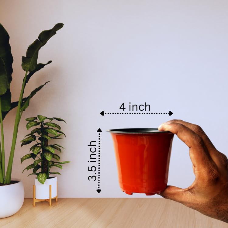 Image of Thermoformed Plastic Flower Pots, Durable, Flexible, Unbreakable, Multiple Drainage Holes, Best for Indoor Plants, Terrace Garden, Nursery (Pack of 40, 4 Inch)