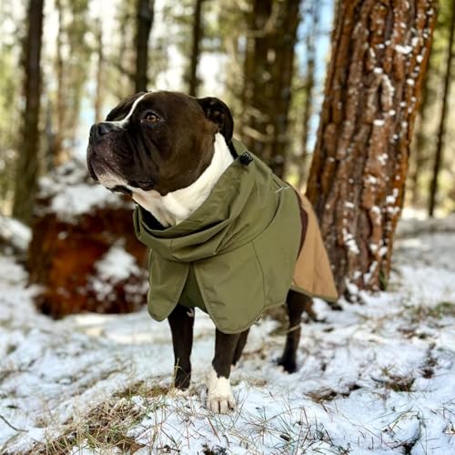 Spark Paws Hunderegenmantel, wasserdichte Winddichte Regenjacke, für kleine, mittlere, große und extra große Hunde, reflektierend, atmungsaktiv, mit vollständigem Körperschutz - Green Brown Tan - L