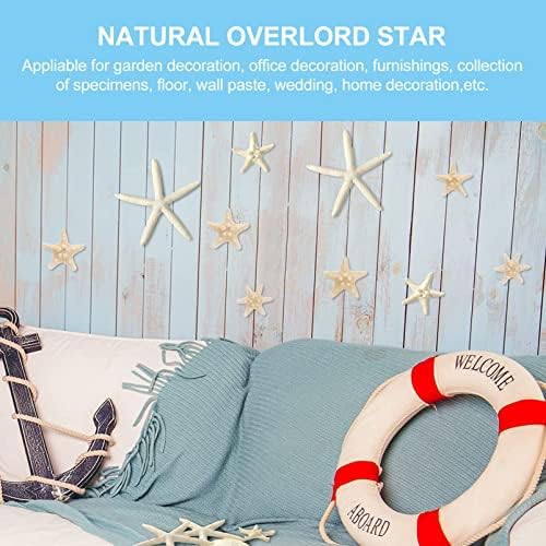 Amosfun 4pcs Natural Starfish for Crafts Shell Conch Wall Landscaping Decoration Platform Wedding Aquarium Decoration (5-8cm)