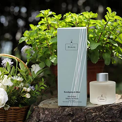 Brakula Eucalyptus & Mint Reed Diffuser Set, Home Fragrance Oil Diffuser With 8 Sticks For Room Decor, 3.4 Oz/100 Ml #TOP2