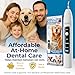 SIRGAWAIN Pet Ultrasonic Dental Cleaner — Plaque, Tartar & Stains Remover, 4 Tips, 3 Modes, LED, Contact-Activated & Smart Touch Protection, Complete Cleaning Kit for Dogs & Cats (White)