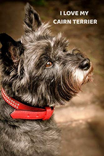 I Love My Cairn Terrier: A 6x9 Lined Notebook, Journal Gift for Cairn Terrier Lovers and Dog Lovers
