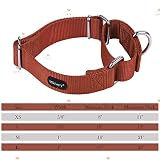 Mikivery Martingale Hundehalsband, Nylon, verstellbar und Sicherheitstraining, Ziegelrot, Karamell, Bequeme Metallschnalle, Haustierhalsbänder für kleine, mittelgroße und große Hunde