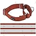 Mikivery Martingale Hundehalsband, Nylon, verstellbar und Sicherheitstraining, Ziegelrot, Karamell, Bequeme Metallschnalle, Haustierhalsbänder für kleine, mittelgroße und große Hunde