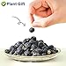 Plant Gift Black Wolfberry 100G/3.52oz Imagen de Plant Gift Black Wolfberry 100G/3.52oz