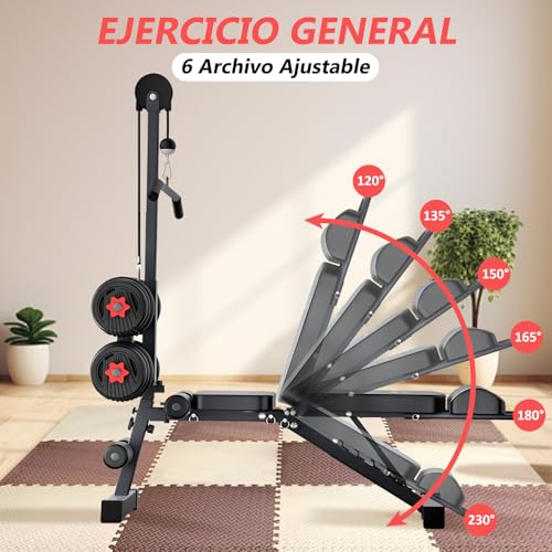 Aparatos De Gimnasio, Sports Imagen adicional