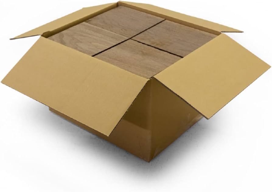 51nIWi70eJL._AC_UF894,