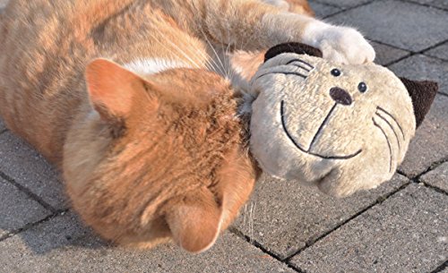 Aumüller Baldi-Willy - Cuscino per gatto in