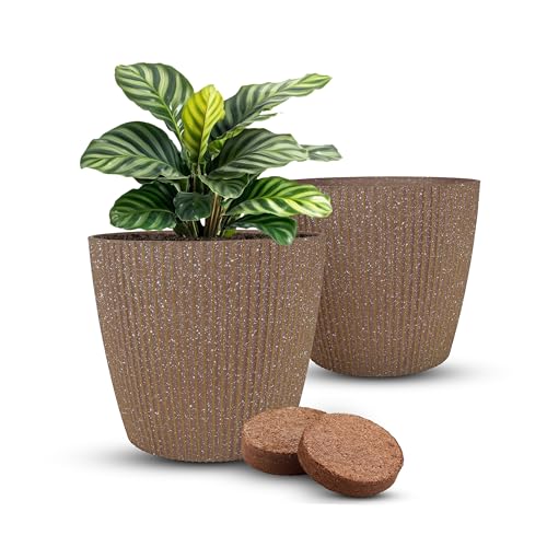 gyo GROW YOUR OWN GYOPOTS Galaxy Medium Flower Pot for Living Room and Home Decor | Premium Glitter Finished Ribbed Texture | Brown | Pack of 2 with Free Cocopeat | for Indoor & Outdoor Use