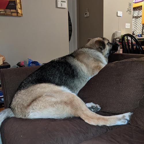 Episode 1: Pilot - Please let me introduce myself! Ep101