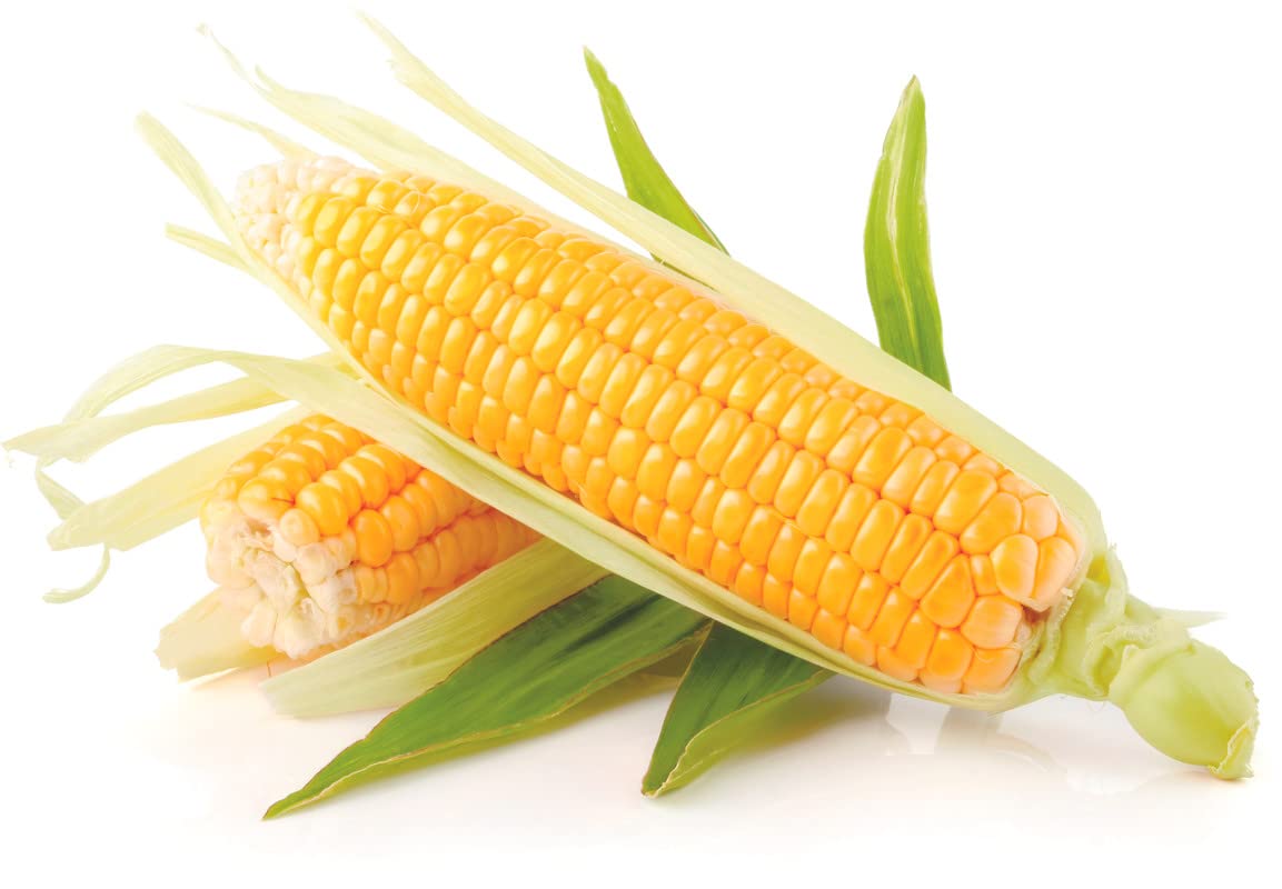 Desi Bhutta Corn Seed 70 SEED (B09JSGZ6HP) Amazon Price History, Amazon Price Tracker