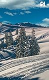 backcountry ski set kaufen  BASIDIA: Backcountry Ski Runs in the Sun Notebook 128 Graph Pages: 130 x 210 mm