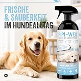 Enzymreiniger Hundeurin 750 ml - Geruchsentferner Hundezubehör Hund Welpe