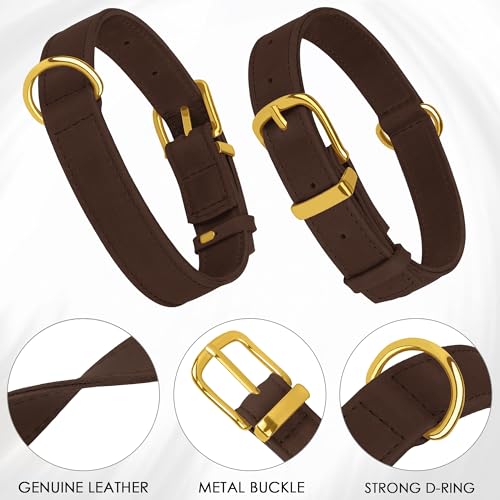 Collar de cuero para perro ajustable L 15-19 pulgadas miniatura 3