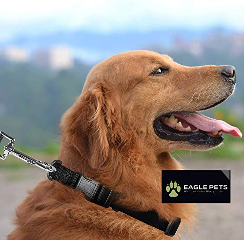 Image of Dog Collar and Leash Set, Adjustable Nylon Collar with Leash for Small Medium and Large Dogs, Quick Release and Breathable Collar for Puppies (Small, Black)