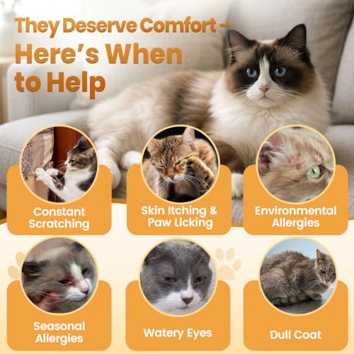 Image of Cat Allergy Relief Chews for Cats with Probiotics, 500 Crunchy Treats | Cat Itchy Skin Relief with Omega-3 Fish Oil, Chicken Flavor, Supports Immune Skin & Coat Health, Licking, Seasonal Allergies