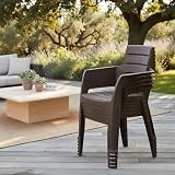 La Mejor Recopilación de Sillas de comedor de jardín los mejores 5. 3 Imagen adicional