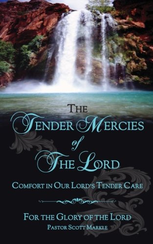The Tender Mercies of The Lord: Comfort in Our Lord's Tender Care