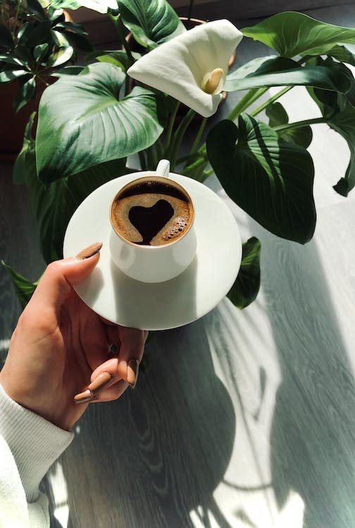 Café en grano descafeinado medio tueste 2 bolsas 24 Oz miniatura 5
