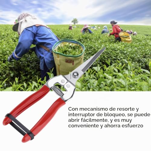 Podadora manual Home Depot 6 Imagen adicional