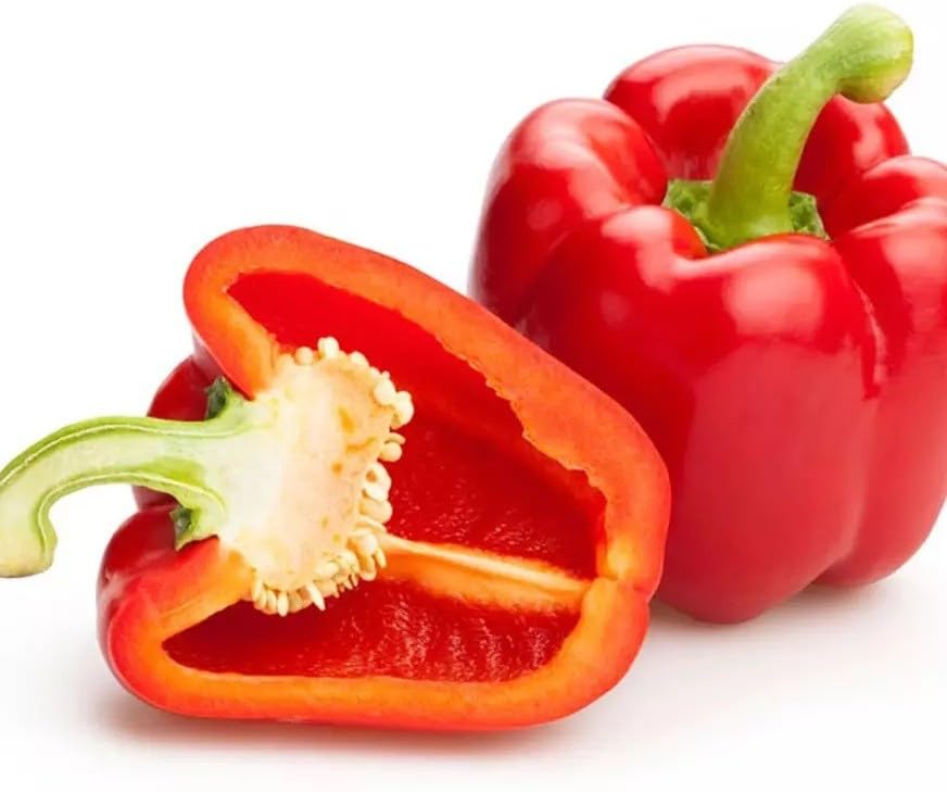 Willvine Capsicum Red Bell Pepper-SWAT-5J-image-47