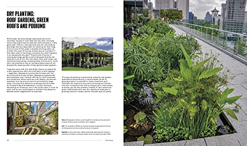 Naturalistic Planting Design The Essential Guide: How to Design High-Impact, Low-Input Gardens