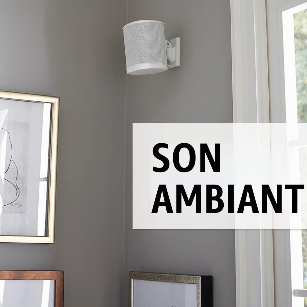 Sanus Support d'enceinte murale réglable pour Sonos Play : 1 & Play: 3- Inclinable et orientable pour un meilleur son - Lot de 2 - Blanc