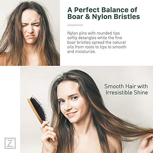 Zollo 701.ZOL.100 Natural Boar Bristle Hair Brush For Women, Men, Kids; Dry And Wet Detangling Hair Brush Gently Enhances Shine, Smooths Frizz And Prevents Breakage In Fine And Straight thumb #2