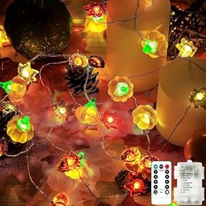 Falldecorations10ft30ledfalllightpumpkinmapleleaflightsbatteryoperated8modestimerorangefairystringlightsforindooroutdoorhomeautumnharvesthalloweenpartythanksgivingdecor Urban Country Home Decor Fall decorations 10ft 30 led fall light pumpkin maple leaf lights battery operated 8 modestimer orange fairy string lights for indoor outdoor home autumn harvest halloween party thanksgiving decor urban country home decor