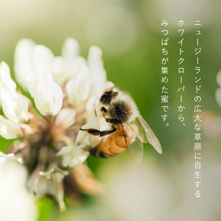 Amazon.co.jp: ハニーマザー コムハニー 巣蜜 340g×2個セット