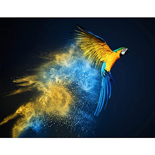 Póster de loro colorido moderno Cuadro sobre lienzo Cover