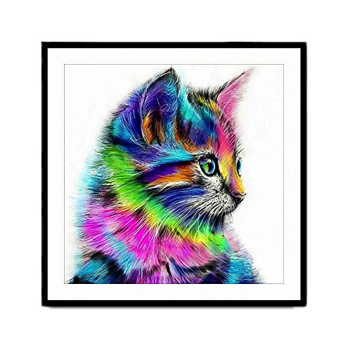 CHSG Diy 5D Diamante Pintura Kits, Pintura Del Diamante Gato, Principiante, Diamond Painting Completo Bordado Punto De Cruz, Craft La Pared Del Hogar, Cmpara Decoración De La Sala De Estar Cover
