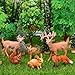 JOKFEICE Figuras de Animales del Bosque 6 Piezas Imagen de JOKFEICE Figuras de Animales del Bosque 6 Piezas