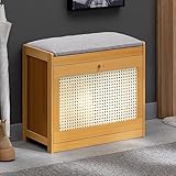 GXLBDK Organizador De Zapatos Multifuncional, Banco De Zapatos De Gabinete De Almacenamiento De Entrada Moderno, Almacenamiento Multicapa con Cajones Basculantes,Original Color,50cm/19.6in