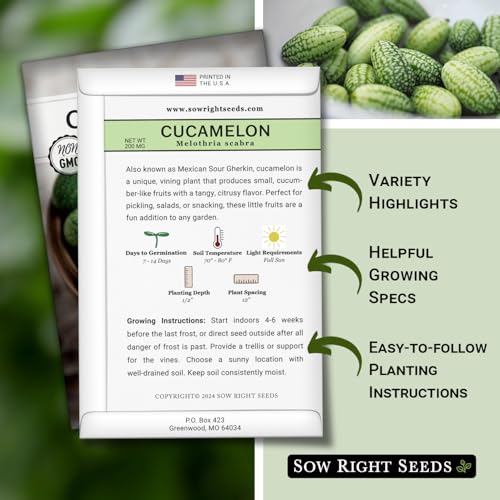 Sow Right Seeds - Cucamelon Seeds for Planting - Non-GMO Heirloom Packet with Instructions to Plant an Outdoor Home Vegetable Garden - Mini Bitter Mouse Melon, Mexican Sour Gherkin - Rare Variety (1) - Image 2