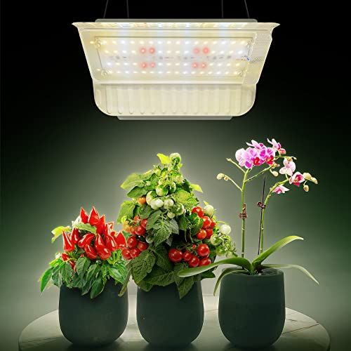 Cultivating Miniature Masterpieces 2024 Top 12 Bonsai Grow Lights