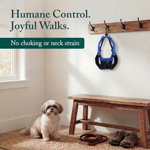 Image of Sporn No Pull Dog Harness, Durable Nylon Mesh Harness for Small Dogs, No Choke Design, Padded Restraint Sleeves, Adjustable Fit, Easy On /Off, Ideal for Small Breeds, Blue